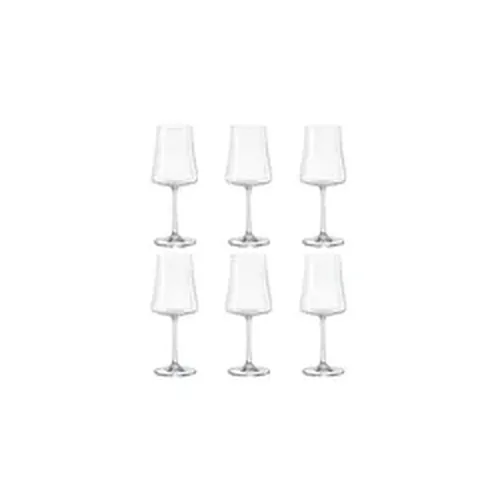 6 taças de cristal para vinho branco 360ml Bohemia Crystal Xtra